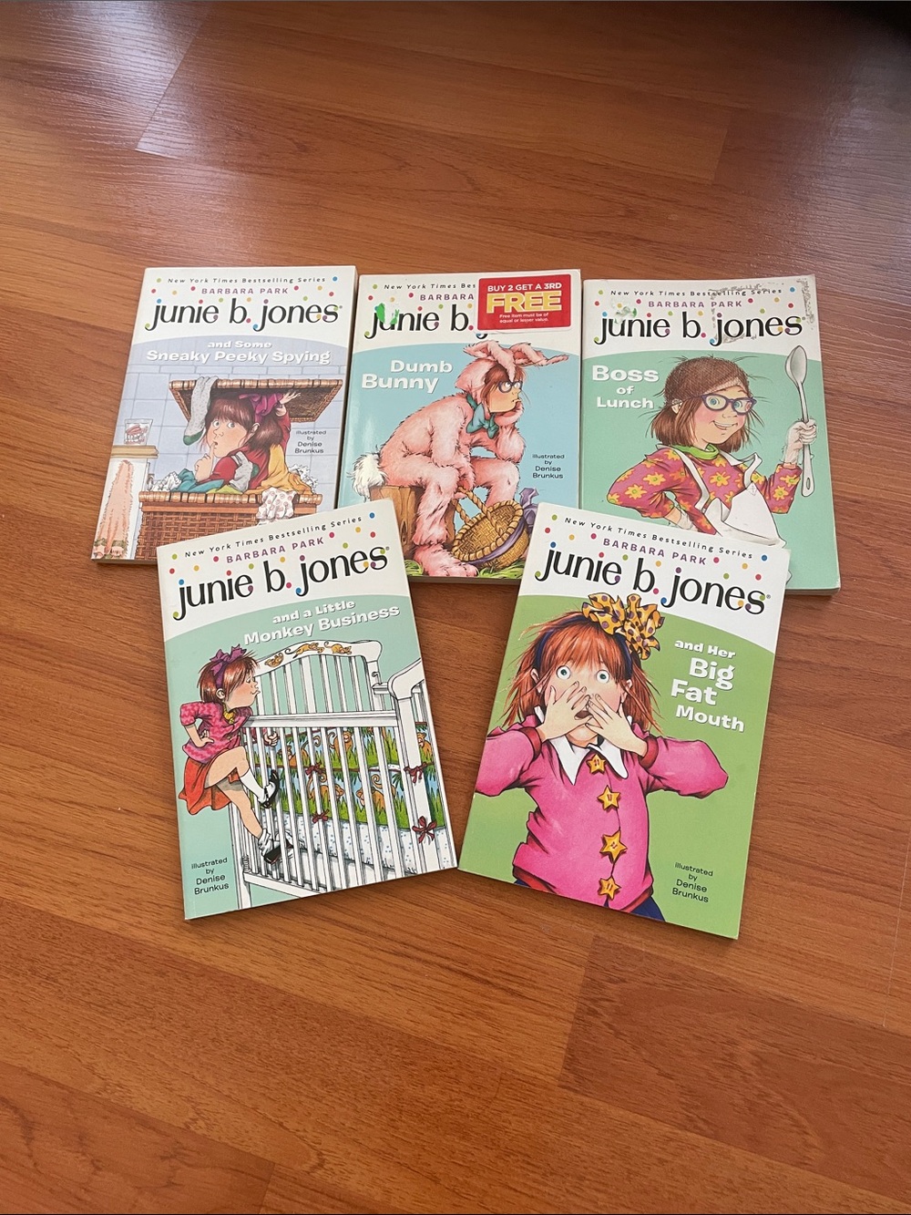 June b. Jones book bundle